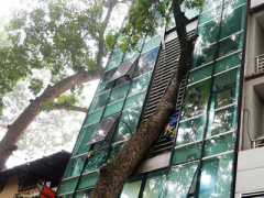 Ảnh bìa bài viết 291389