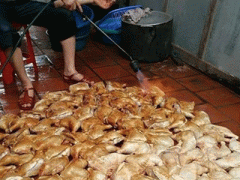 Ảnh bìa bài viết 291457