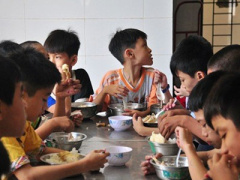Ảnh bìa bài viết 291579