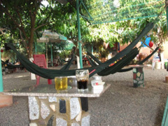 Ảnh bìa bài viết 291938