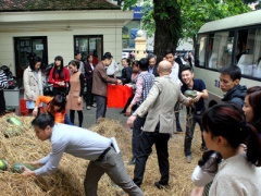 Ảnh bìa bài viết 292137