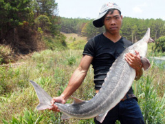 Ảnh bìa bài viết 292374