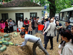 Ảnh bìa bài viết 292301