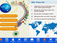 Ảnh bìa bài viết 292865