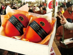 Ảnh bìa bài viết 293049