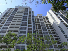 Ảnh bìa bài viết 292966