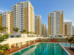 Ảnh bìa bài viết 292890
