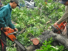 Ảnh bìa bài viết 293011