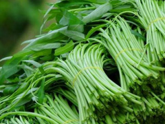 Ảnh bìa bài viết 293074