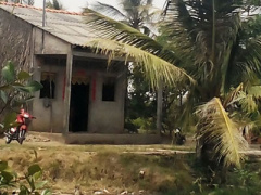 Ảnh bìa bài viết 293116