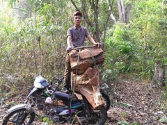 Ảnh bìa bài viết 293213