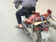 Ảnh bìa bài viết 293155