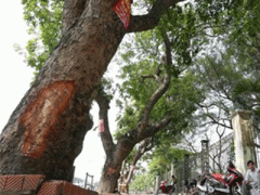 Ảnh bìa bài viết 293293