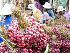 Ảnh bìa bài viết 293151