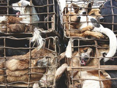 Ảnh bìa bài viết 293359