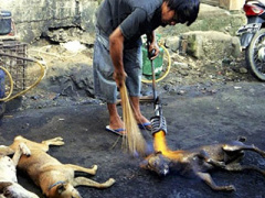 Ảnh bìa bài viết 293312