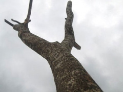 Ảnh bìa bài viết 293471