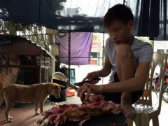 Ảnh bìa bài viết 293442