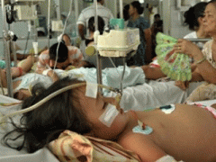 Ảnh bìa bài viết 293503