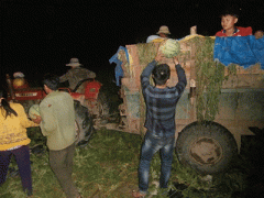 Ảnh bìa bài viết 293498
