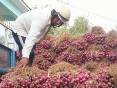 Ảnh bìa bài viết 293628