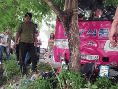 Ảnh bìa bài viết 293620