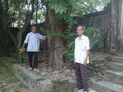 Ảnh bìa bài viết 293704