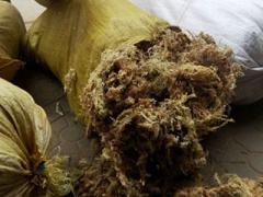 Ảnh bìa bài viết 293674