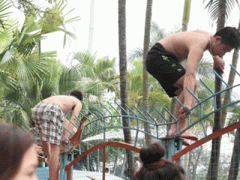 Ảnh bìa bài viết 293747