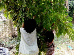 Ảnh bìa bài viết 293731