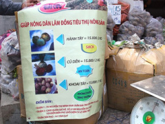 Ảnh bìa bài viết 293859