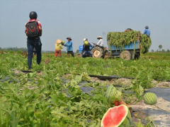 Ảnh bìa bài viết 293827