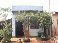Ảnh bìa bài viết 294121