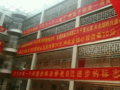 Ảnh bìa bài viết 294126