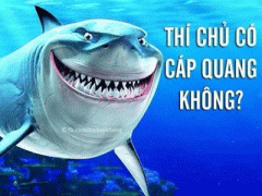 Ảnh bìa bài viết 294523