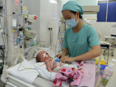Ảnh bìa bài viết 294376
