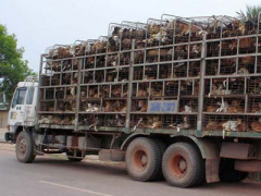 Ảnh bìa bài viết 294402