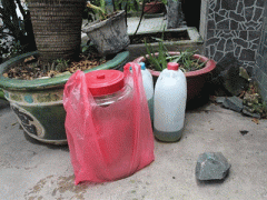 Ảnh bìa bài viết 294688