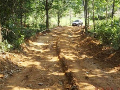 Ảnh bìa bài viết 294556