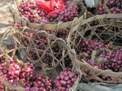 Ảnh bìa bài viết 294710