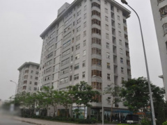 Ảnh bìa bài viết 294706