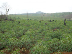 Ảnh bìa bài viết 294844