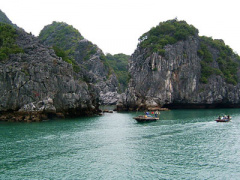 Ảnh bìa bài viết 294821