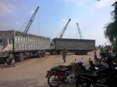 Ảnh bìa bài viết 295063