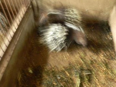 Ảnh bìa bài viết 295028