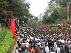 Ảnh bìa bài viết 295148