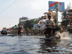 Ảnh bìa bài viết 295251