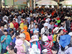 Ảnh bìa bài viết 295244