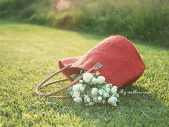 Ảnh bìa bài viết 295163