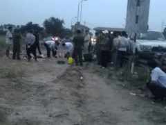Ảnh bìa bài viết 295149
